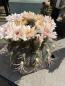 Preview: Gymnocalycium saglionis